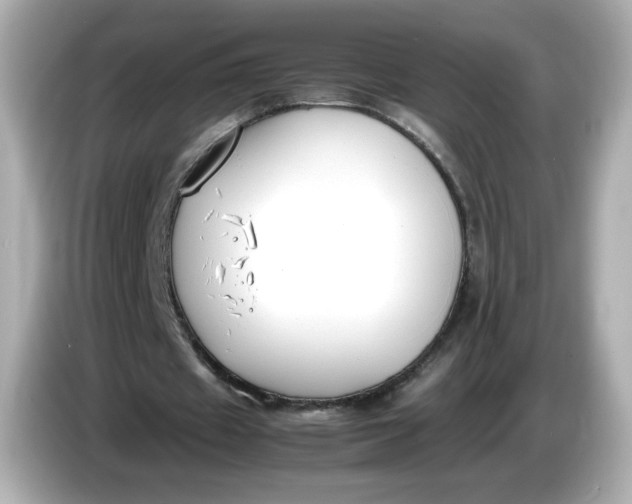 X0000086010433200704091058