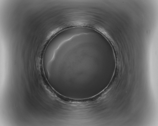 X0000086010434200704091058