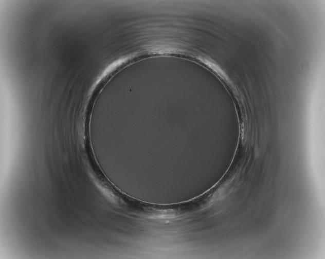 X0000086010438200704091058