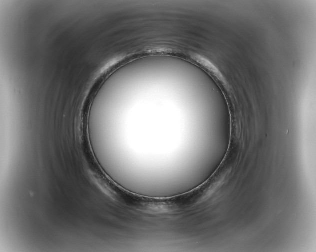 X0000086010439200704091058