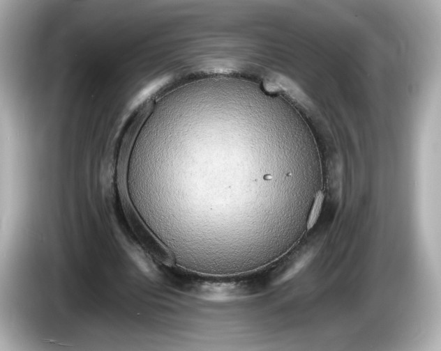 X0000086010440200704091058