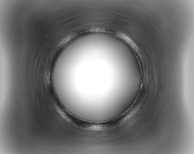 X0000086010441200704091058