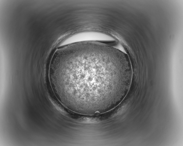X0000086010442200704091058
