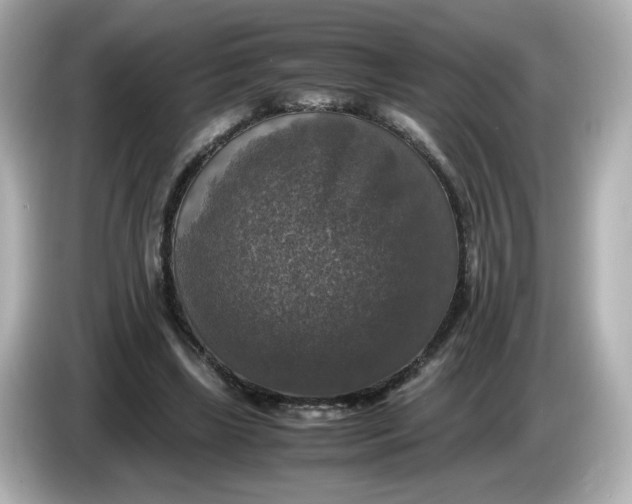 X0000086010443200704091058