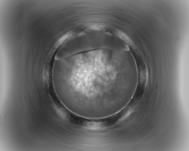 X0000086010444200704091058