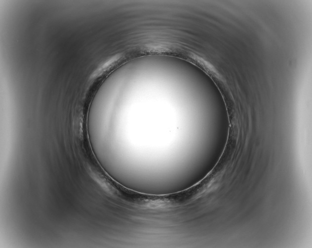 X0000086010446200704091058