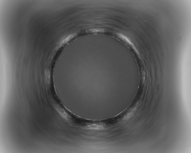 X0000086010447200704091058