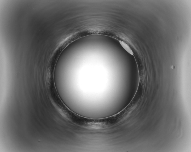 X0000086010448200704091058