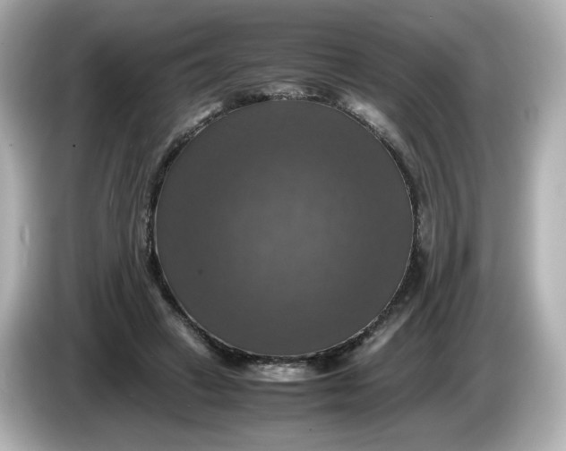 X0000086010449200704091058