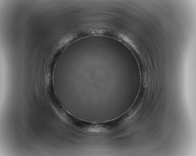 X0000086010451200704091058