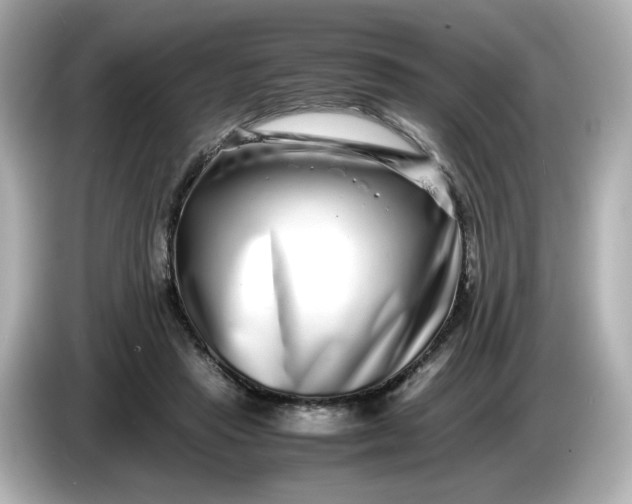 X0000086010453200704091058
