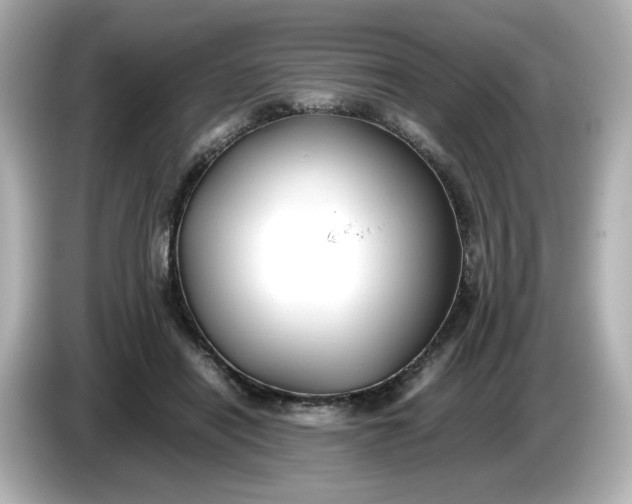 X0000086010454200704091058