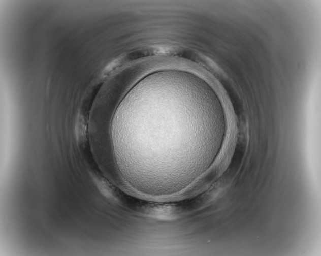 X0000086010456200704091058