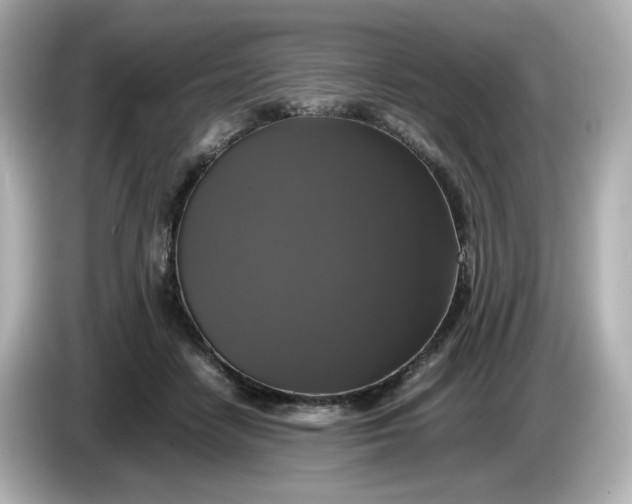 X0000086010458200704091058