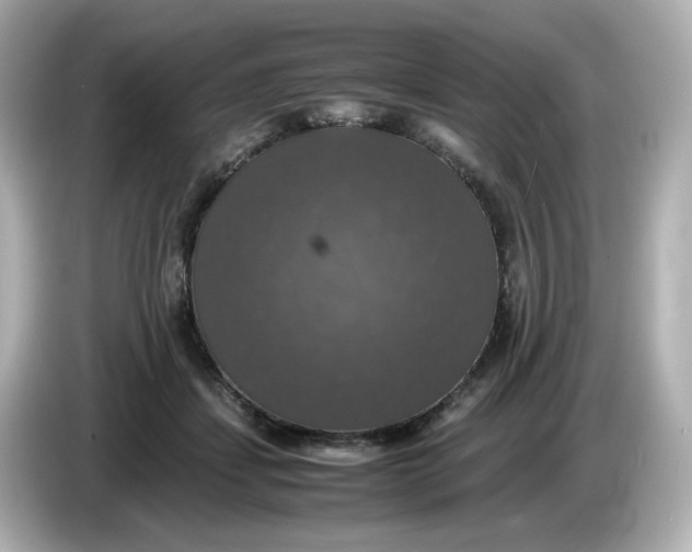 X0000086010459200704091058