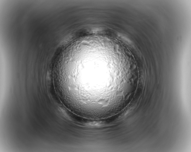 X0000086010461200704091058