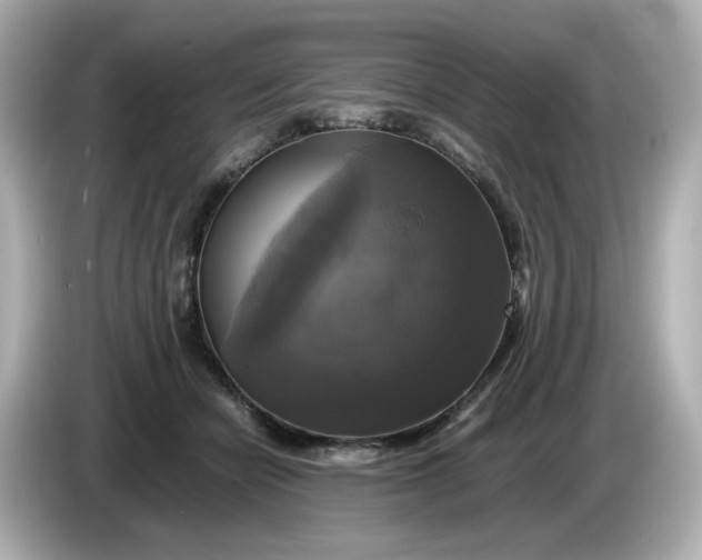 X0000086010462200704091058