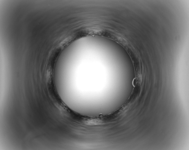 X0000086010468200704091059