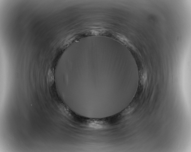 X0000086010471200704091059