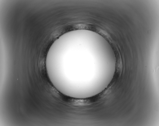 X0000086010473200704091059