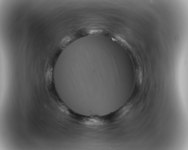 X0000086010475200704091059