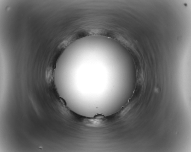 X0000086010478200704091059