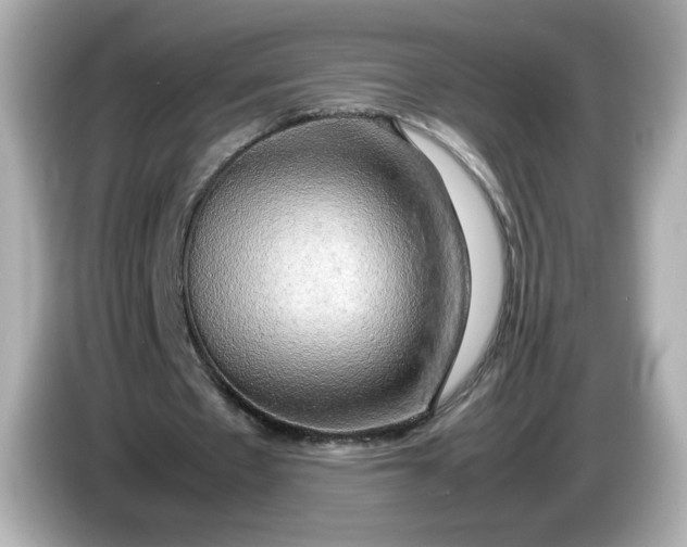 X0000086010481200704091058