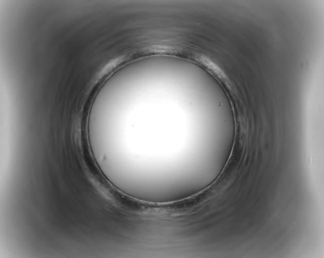 X0000086010482200704091058