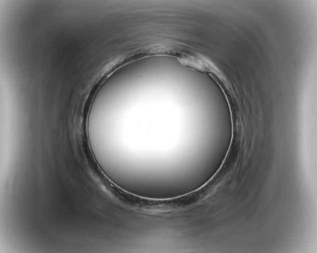 X0000086010485200704091058