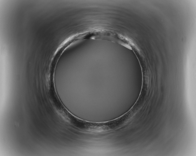 X0000086010488200704091058