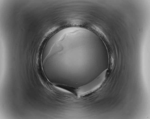 X0000086010492200704091058