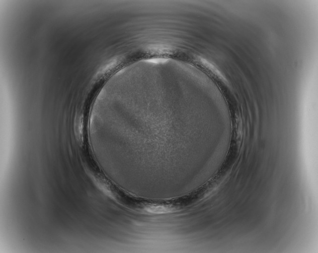 X0000086010494200704091058
