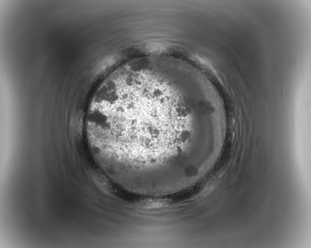 X0000086010495200704091058