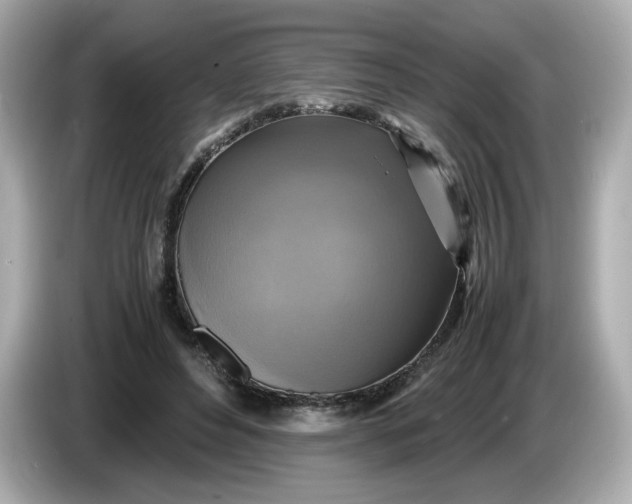 X0000086010496200704091058