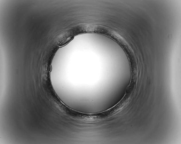 X0000086010497200704091058