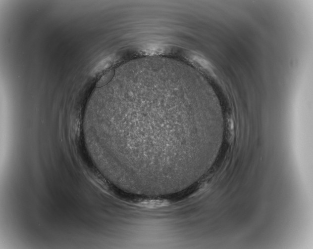 X0000086010499200704091058
