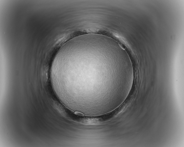 X0000086010501200704091058