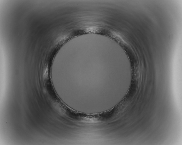 X0000086010502200704091058