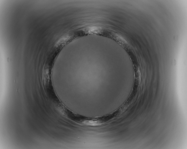 X0000086010506200704091058