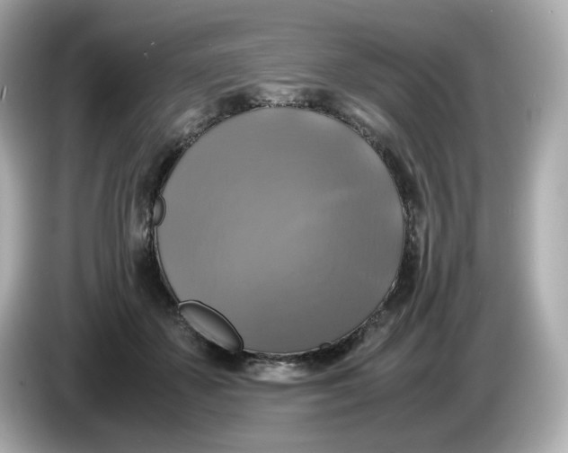 X0000086010507200704091058