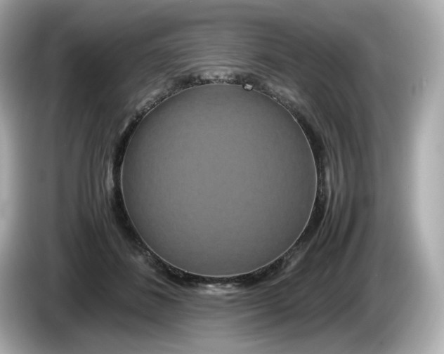 X0000086010508200704091058