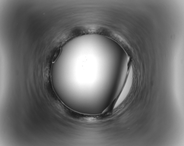 X0000086010509200704091058
