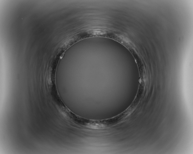 X0000086010512200704091058