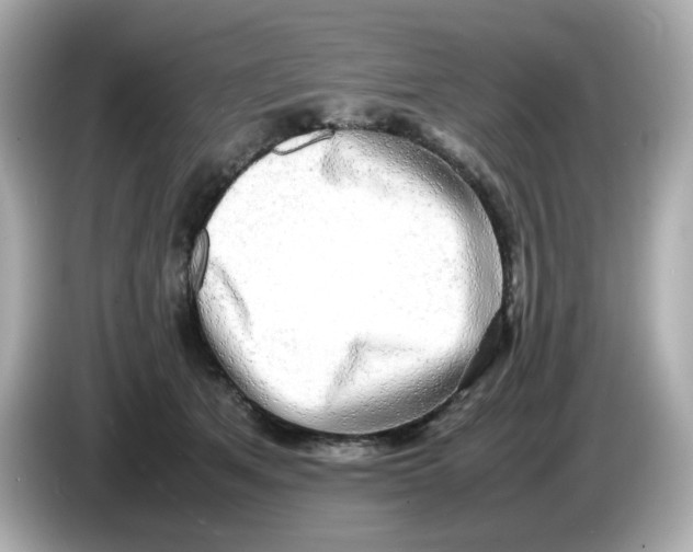 X0000086010513200704091058