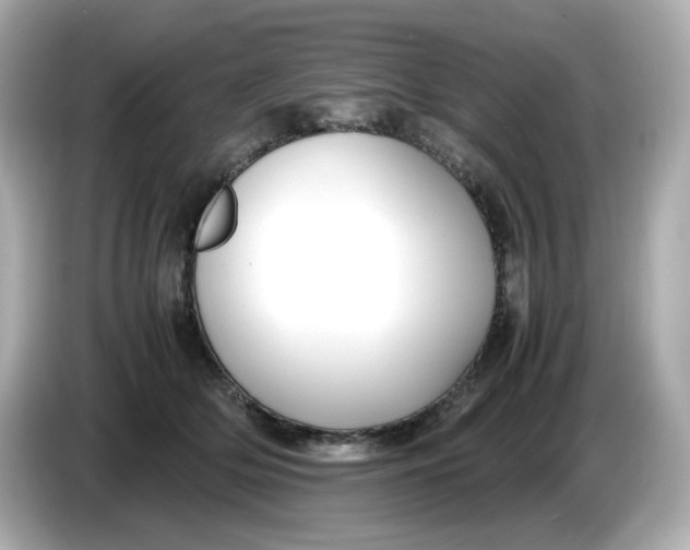 X0000086010514200704091058