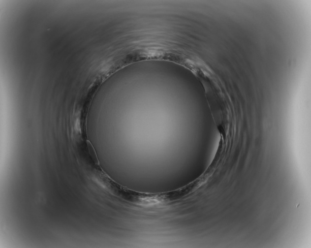 X0000086010516200704091058