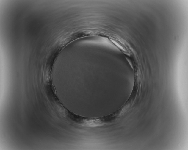 X0000086010517200704091058
