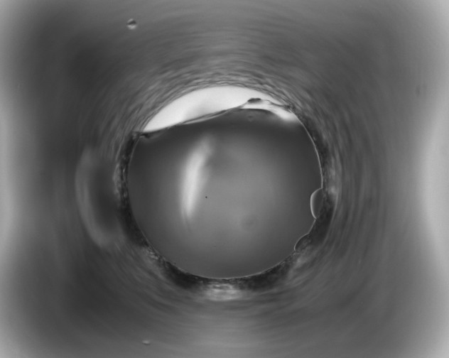 X0000086010519200704091058