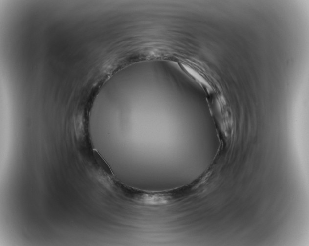 X0000086010520200704091058