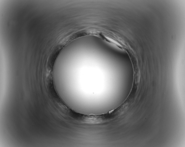 X0000086010521200704091058